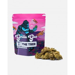 THE TREE FLORES GORILLA